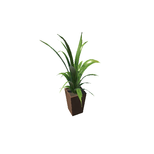 Plant 2